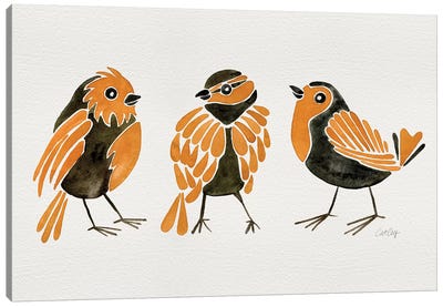 Orange Finches Canvas Art Print - Finch Art