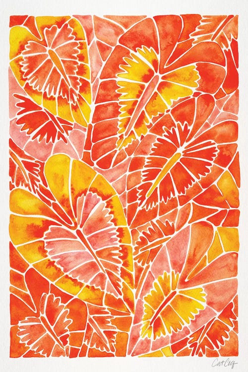 Orange Schismatoglottis Calyptrata by Cat Coquillette wall art