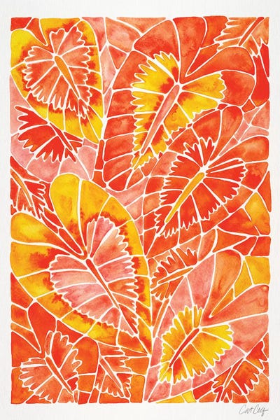 Cat Coquillette: Orange Schismatoglottis Calyptrata by Cat Coquillette