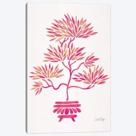 Pink Bonsai Canvas Print #CCE416} by Cat Coquillette Art Print