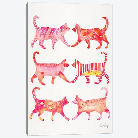 Pink Cat Collection Canvas Print #CCE417} by Cat Coquillette Canvas Print