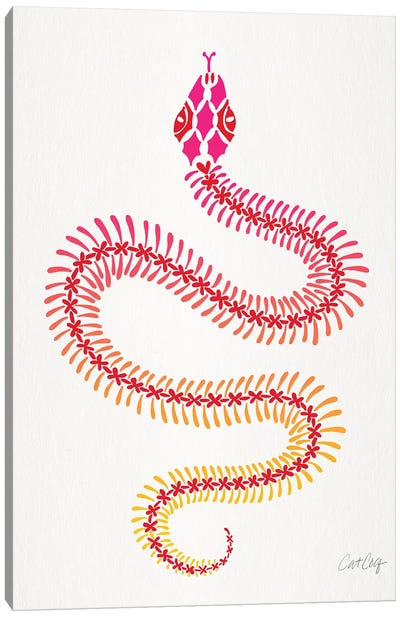 Pink Ombré Snake Skeleton Canvas Art Print - Reptile & Amphibian Art