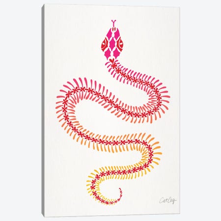 Pink Ombré Snake Skeleton Canvas Print #CCE421} by Cat Coquillette Canvas Art Print