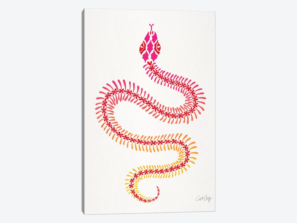 Pink Ombré Snake Skeleton by Cat Coquillette 1-piece Canvas Wall Art