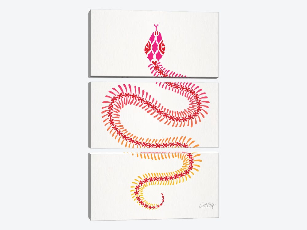 Pink Ombré Snake Skeleton by Cat Coquillette 3-piece Canvas Art