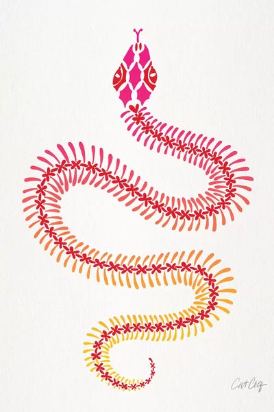 Snakes: Pink Ombré Snake Skeleton by Cat Coquillette