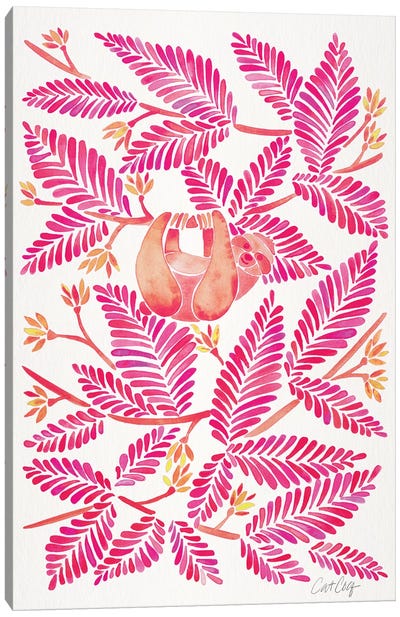 Pink Sloth Canvas Art Print - Sloth Art