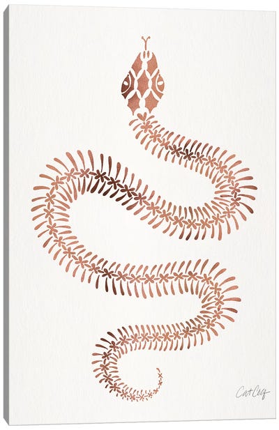 Rose & Gold Snake Skeleton Canvas Art Print - Reptile & Amphibian Art