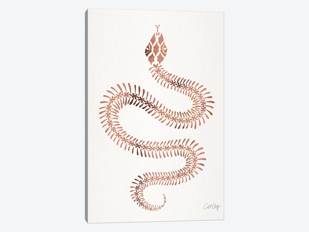 Rose & Gold Snake Skeleton by Cat Coquillette 1-piece Canvas Wall Art