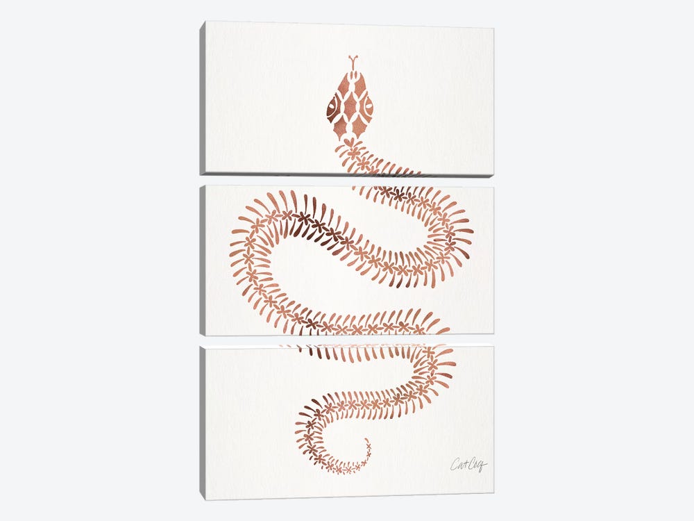 Rose & Gold Snake Skeleton by Cat Coquillette 3-piece Canvas Artwork