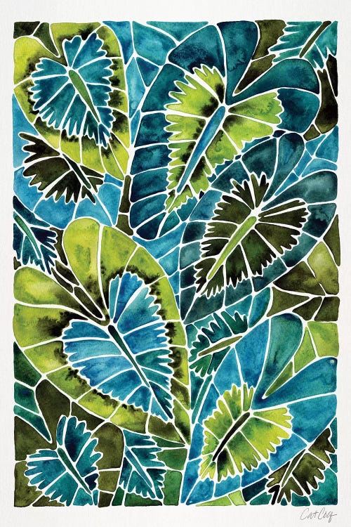 Teal Schismatoglottis Calyptrata by Cat Coquillette wall art