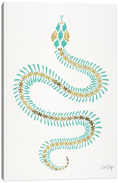 Turquoise & Gold Snake Skeleton Canvas Art Print - Reptile & Amphibian Art