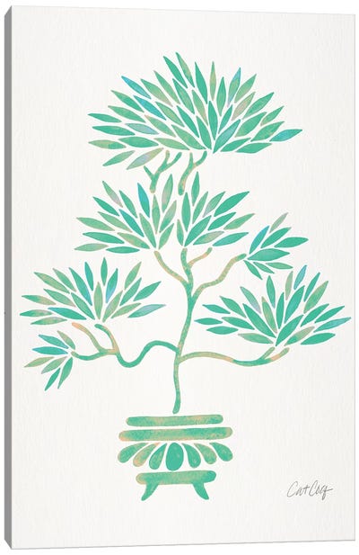 Turquoise Bonsai Canvas Art Print - Zen Décor