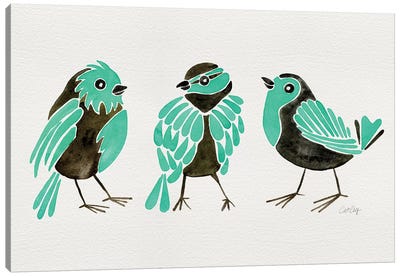 Turquoise Finches Canvas Art Print - Cat Coquillette