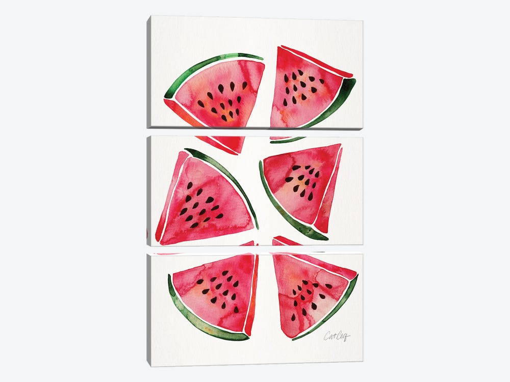 Watermelon by Cat Coquillette 3-piece Canvas Art