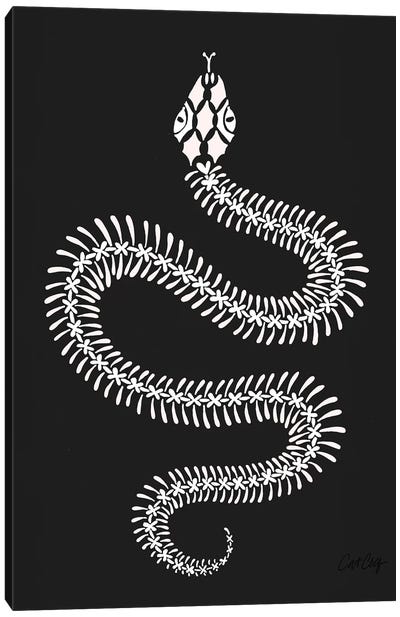 White Snake Skeleton Canvas Art Print - Snake Art