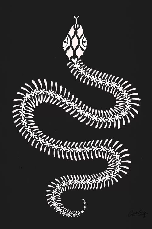 White Snake Skeleton by Cat Coquillette wall art