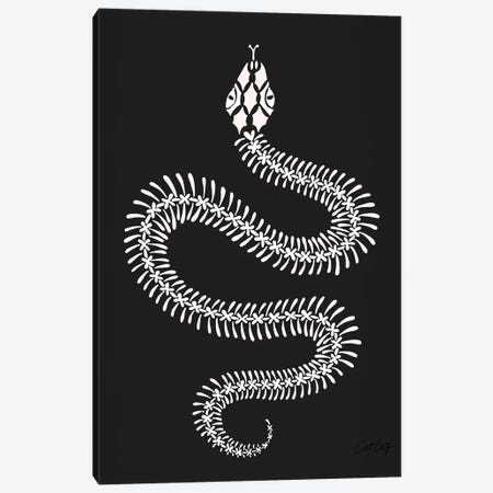 White Snake Skeleton Canvas Print #CCE447} by Cat Coquillette Canvas Wall Art
