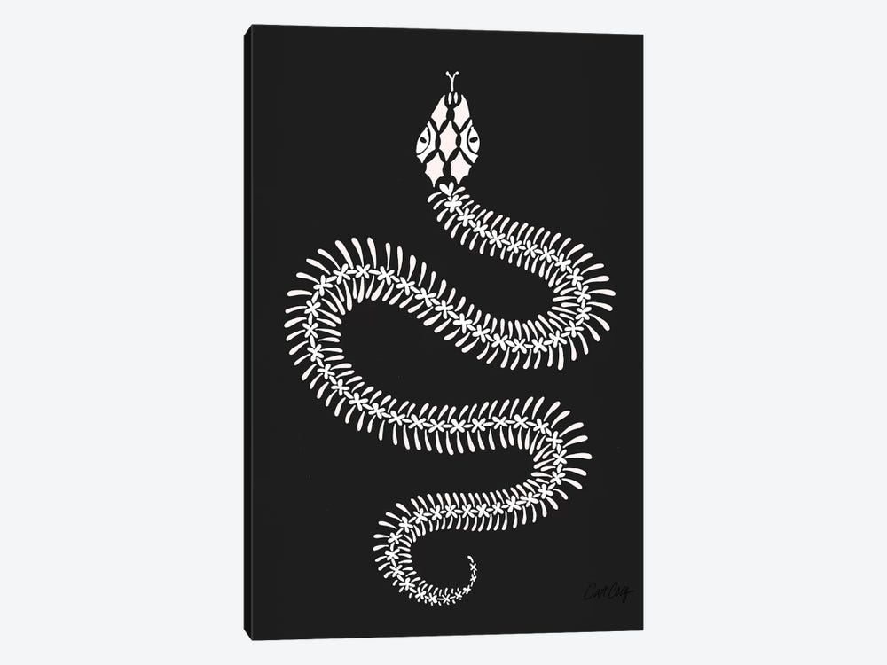 White Snake Skeleton by Cat Coquillette 1-piece Canvas Artwork