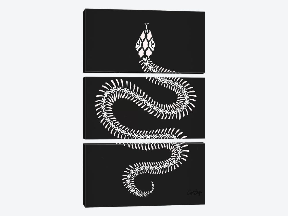 White Snake Skeleton by Cat Coquillette 3-piece Canvas Art