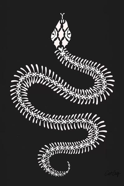 White Snake Skeleton