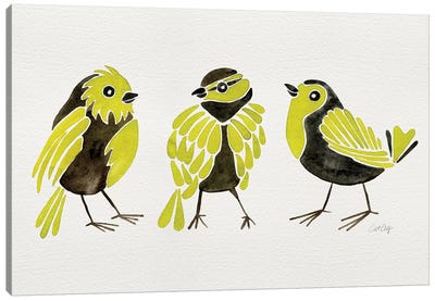 Yellow Finches Canvas Art Print - Finch Art