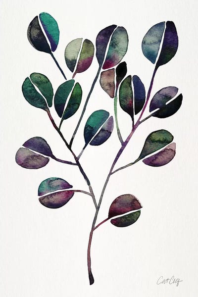 Deep Cool - Eucalyptus by Cat Coquillette art print