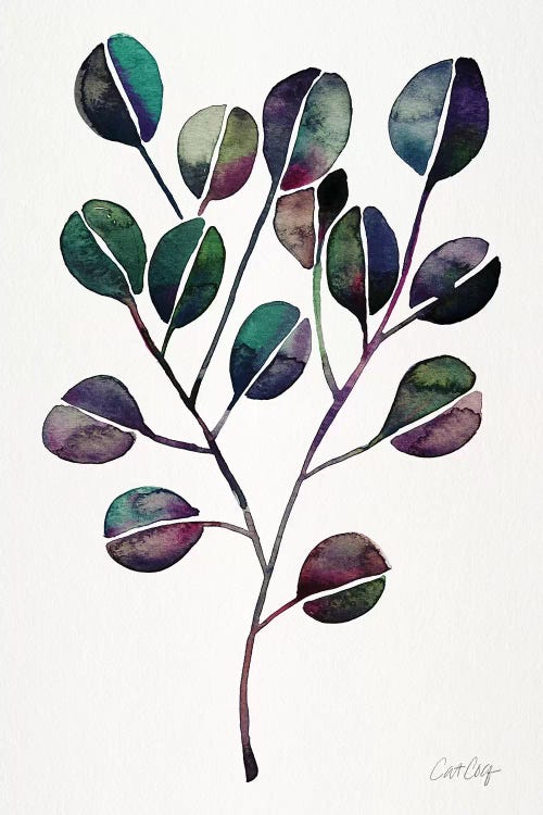 Deep Cool - Eucalyptus