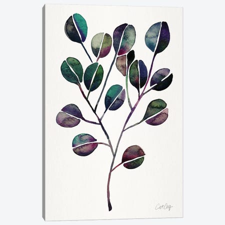 Deep Cool - Eucalyptus Canvas Print #CCE459} by Cat Coquillette Canvas Artwork