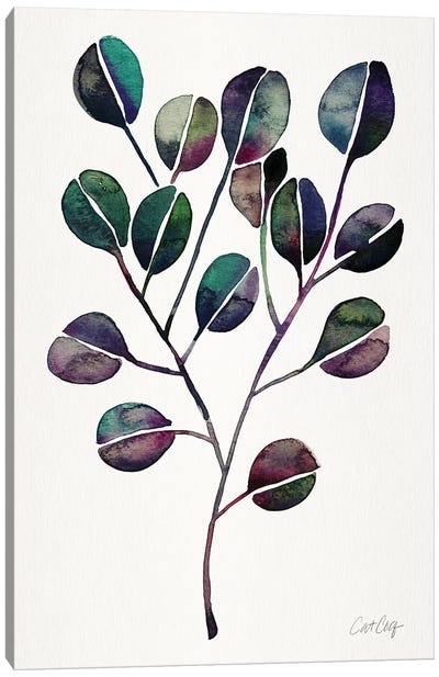 Deep Cool - Eucalyptus Canvas Art Print - Cat Coquillette