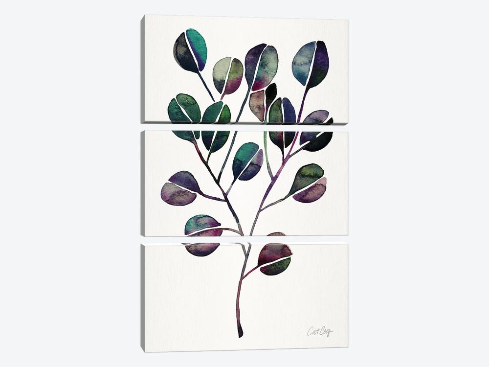 Deep Cool - Eucalyptus by Cat Coquillette 3-piece Art Print