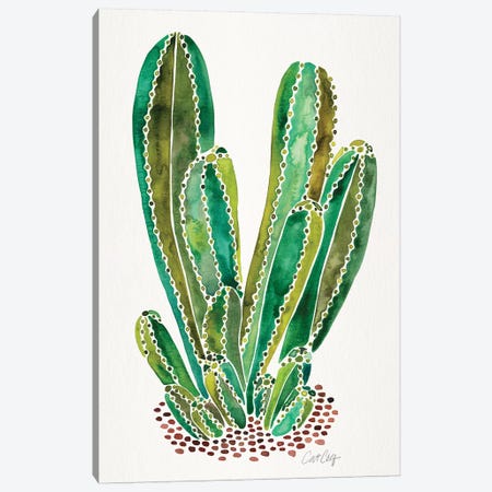 Green - Cactus Cluster Canvas Print #CCE462} by Cat Coquillette Art Print