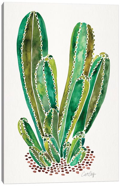 Green - Cactus Cluster Canvas Art Print - Cat Coquillette