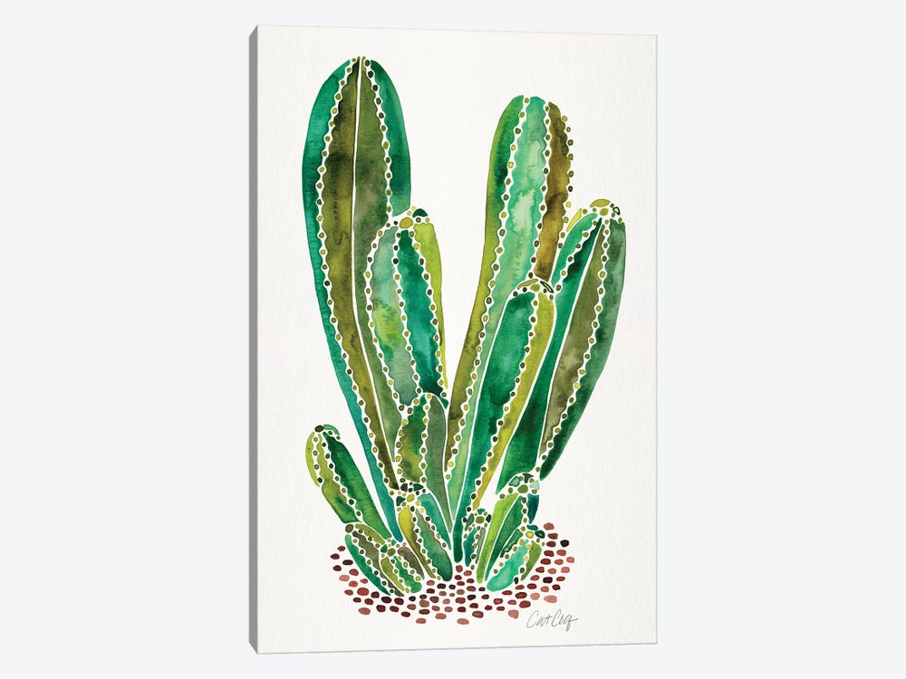 Green - Cactus Cluster by Cat Coquillette 1-piece Canvas Art Print