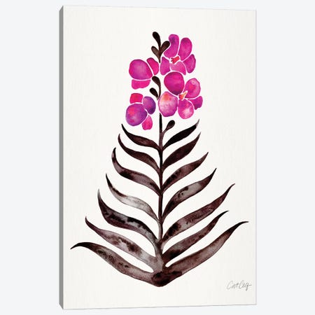 Magenta Black - Orchid Bloom Canvas Print #CCE464} by Cat Coquillette Canvas Wall Art