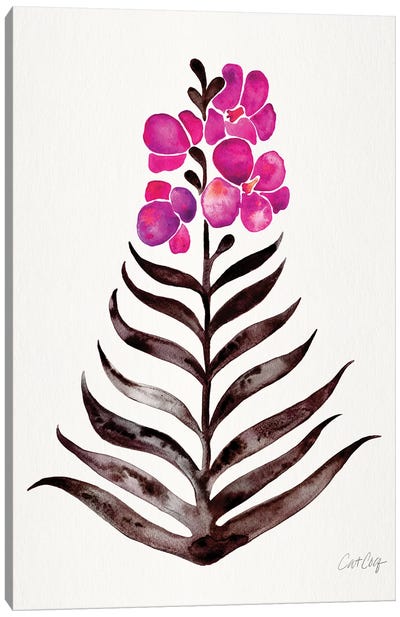 Magenta Black - Orchid Bloom Canvas Art Print - Cat Coquillette