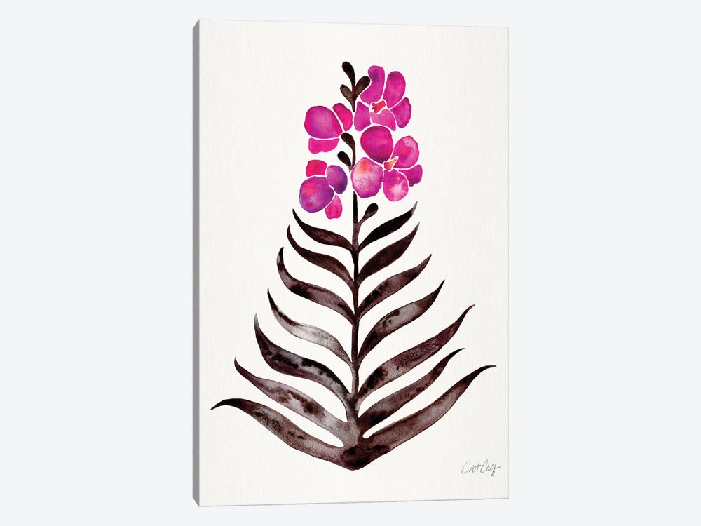 Magenta Black - Orchid Bloom by Cat Coquillette 1-piece Canvas Print