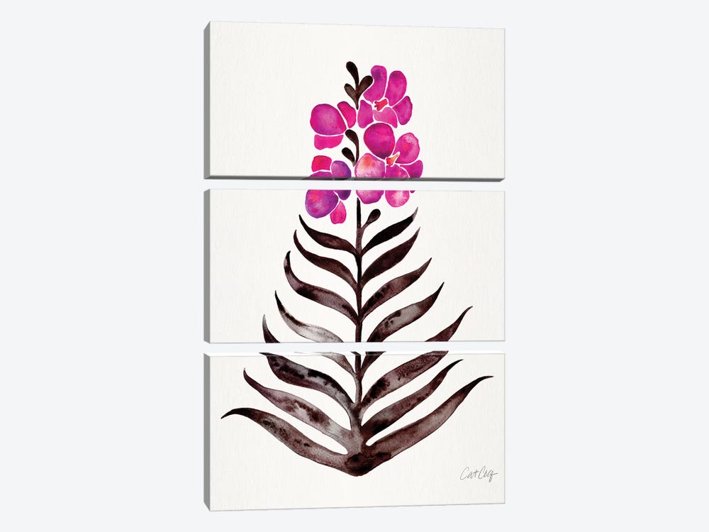 Magenta Black - Orchid Bloom by Cat Coquillette 3-piece Art Print