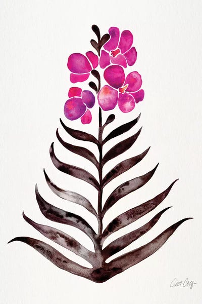 Cat Coquillette: Magenta Black - Orchid Bloom by Cat Coquillette