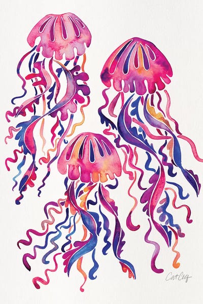 Magenta - Jellyfish by Cat Coquillette framed canvas print