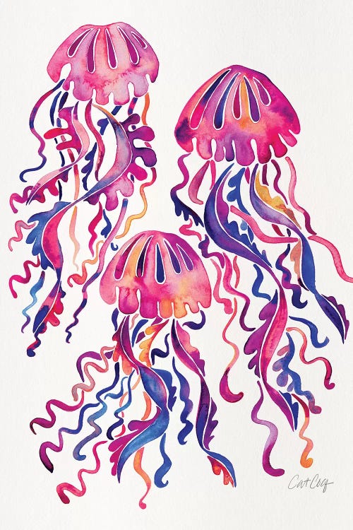 Magenta - Jellyfish