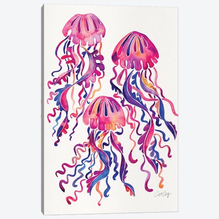 Magenta - Jellyfish Canvas Print #CCE465} by Cat Coquillette Canvas Art