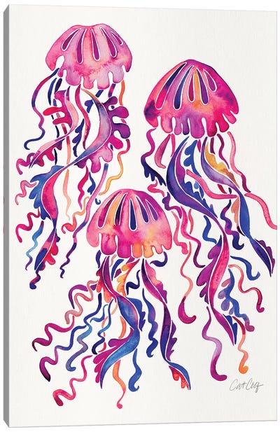 Magenta - Jellyfish Canvas Art Print - Cat Coquillette
