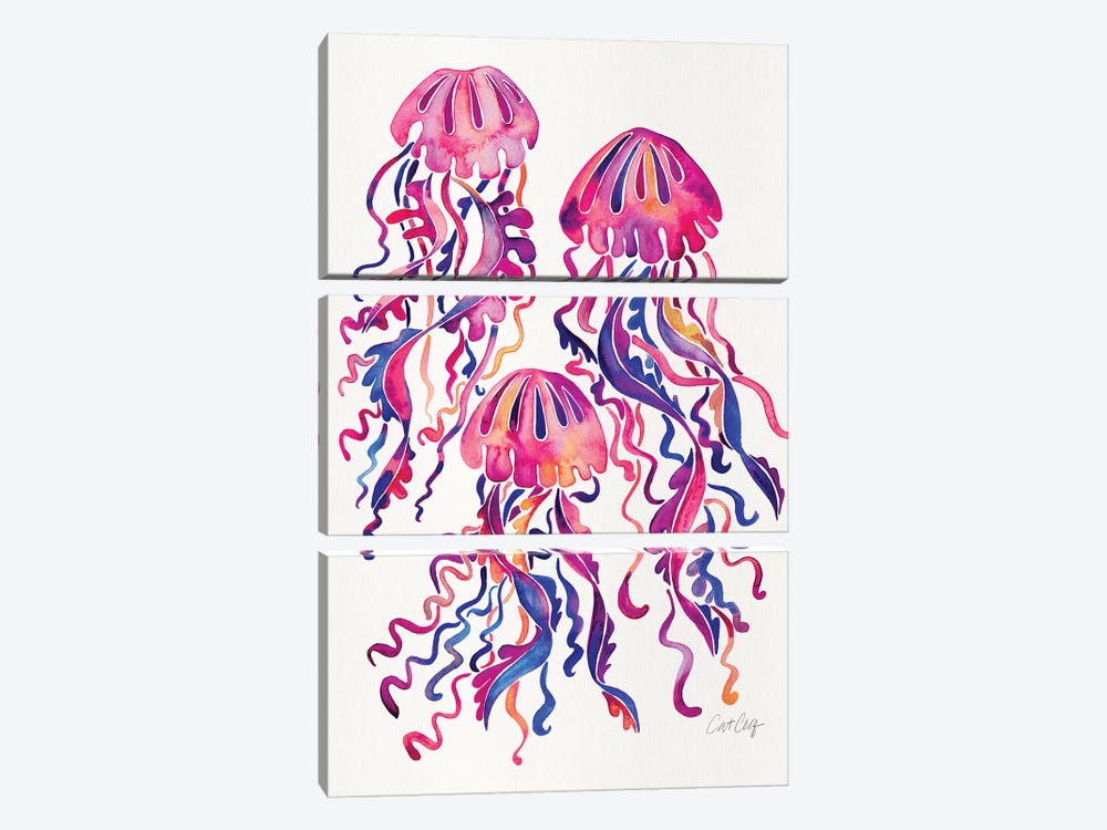 Magenta - Jellyfish by Cat Coquillette 3-piece Canvas Artwork
