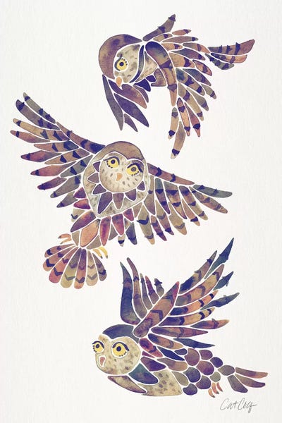 Mauve - Owls by Cat Coquillette framed canvas print