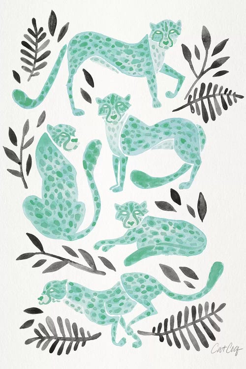 Mint Black - Cheetahs