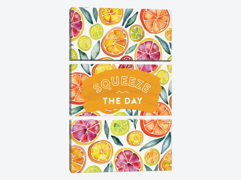 Multi-Squeeze The Day by Cat Coquillette 3-piece Canvas Art