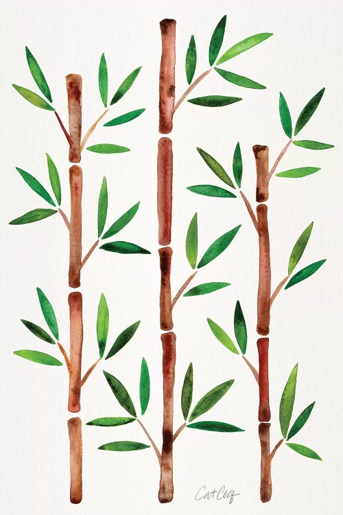 Original - Bamboo