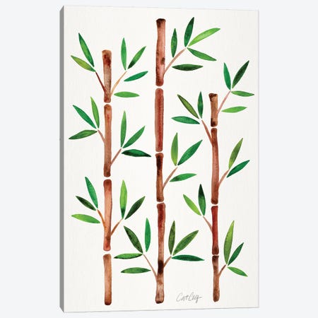 Original - Bamboo Canvas Print #CCE474} by Cat Coquillette Canvas Art Print