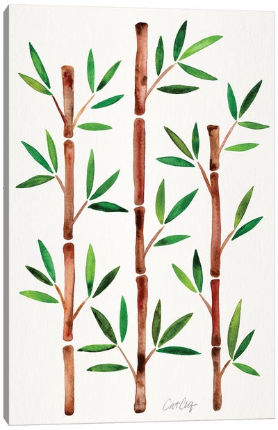 Original - Bamboo Canvas Art Print - Cat Coquillette